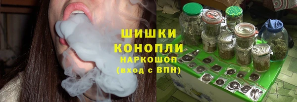 молекула духа Анжеро-Судженск