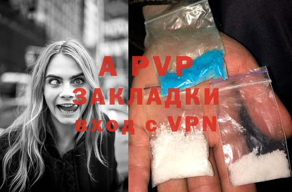 гашик Осинники