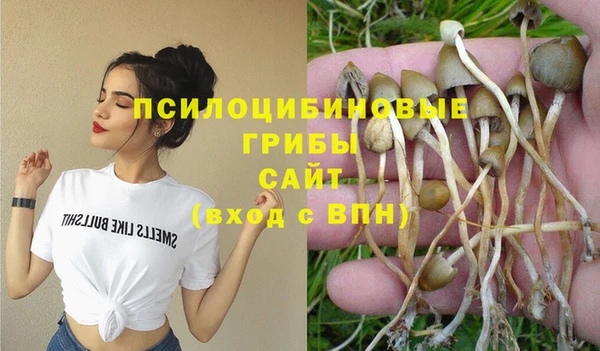 мет Абинск